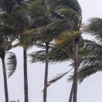 Firgas cierra todas las instalaciones municipales ante la alerta por viento